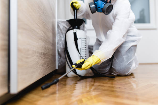 Best Pest Prevention Services  in La Puente, CA