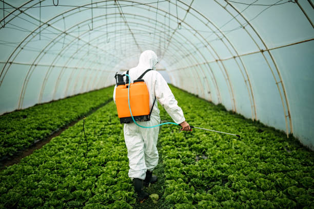 Reliable La Puente, CA Pest Control Solutions