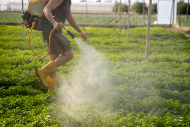 Pest Control Cost in La Puente, CA