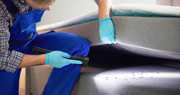 Best Termite Control Services  in La Puente, CA