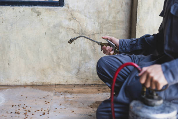 Best Affordable Pest Control Services  in La Puente, CA